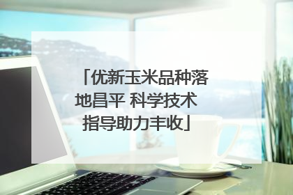 优新玉米品种落地昌平 科学技术指导助力丰收