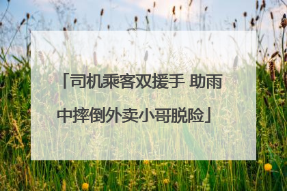司机乘客双援手 助雨中摔倒外卖小哥脱险