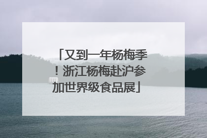 又到一年杨梅季！浙江杨梅赴沪参加世界级食品展