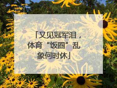 又见冠军泪，体育“饭圈”乱象何时休