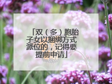 双（多）胞胎子女以捆绑方式派位的，记得要提前申请