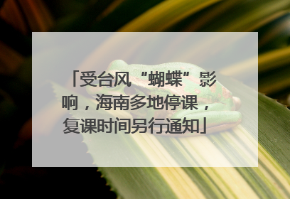 受台风“蝴蝶”影响，海南多地停课，复课时间另行通知