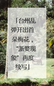 台州乱弹开出首朵梅花，“浙婺现象”再度续写