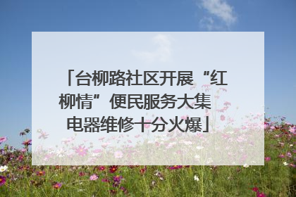 台柳路社区开展“红柳情”便民服务大集 电器维修十分火爆
