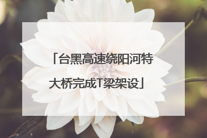台黑高速绕阳河特大桥完成T梁架设