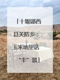 十堰郧西县关防乡：玉米地里话“丰”景