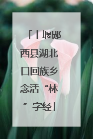 十堰郧西县湖北口回族乡念活“林”字经