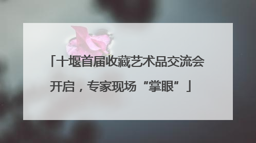十堰首届收藏艺术品交流会开启，专家现场“掌眼”