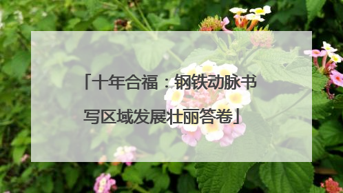 十年合福：钢铁动脉书写区域发展壮丽答卷