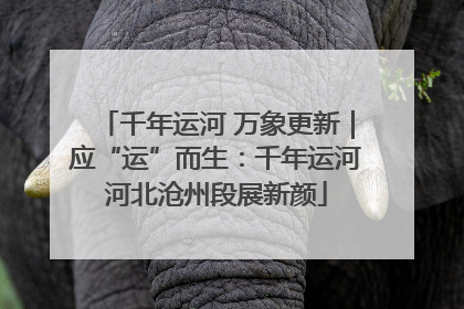 千年运河 万象更新｜应“运”而生：千年运河河北沧州段展新颜