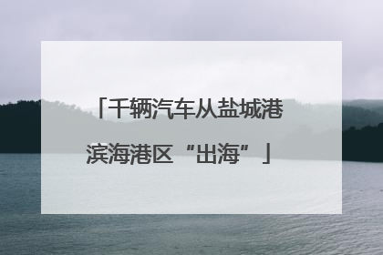千辆汽车从盐城港滨海港区“出海”