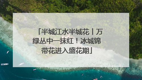 半城江水半城花丨万绿丛中一抹红！冰城锦带花进入盛花期