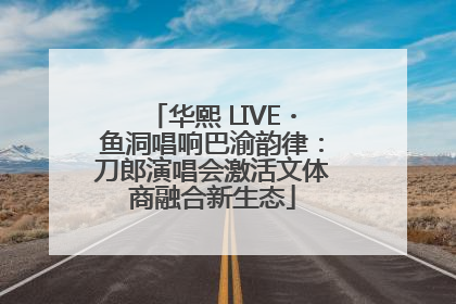 华熙 LIVE・鱼洞唱响巴渝韵律：刀郎演唱会激活文体商融合新生态