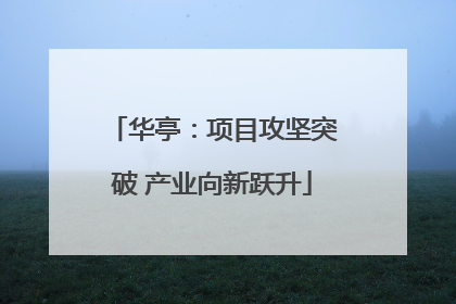 华亭：项目攻坚突破 产业向新跃升