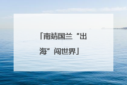 南靖国兰“出海”闯世界