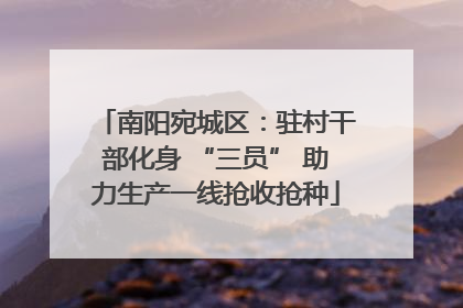 南阳宛城区：驻村干部化身 “三员” 助力生产一线抢收抢种