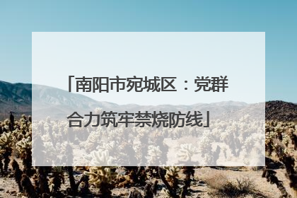 南阳市宛城区：党群合力筑牢禁烧防线