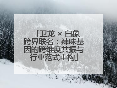 卫龙 × 白象跨界联名：辣味基因的跨维度共振与行业范式重构