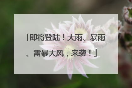 即将登陆！大雨、暴雨、雷暴大风，来袭！
