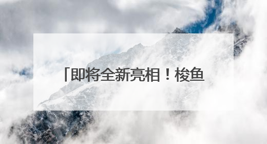 即将全新亮相！梭鱼湾升级改造进行中