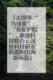 去国外“当球童”、“看家护院”，康迪科技联合云深处科技研发机器狗出海新场景
