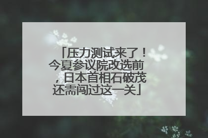 压力测试来了！今夏参议院改选前，日本首相石破茂还需闯过这一关