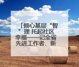 倾心基层“智”理 托起社区幸福——记全省先进工作者、新区文曲中心社区党委书记董世弘