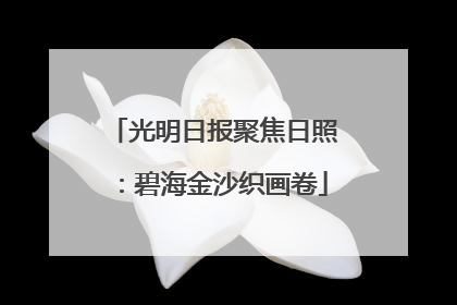 光明日报聚焦日照：碧海金沙织画卷