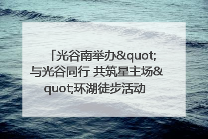 光谷南举办"与光谷同行 共筑星主场"环湖徒步活动 吸引500余名市民参与