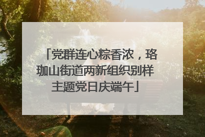 党群连心粽香浓，珞珈山街道两新组织别样主题党日庆端午