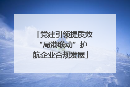 党建引领提质效 “局港联动”护航企业合规发展