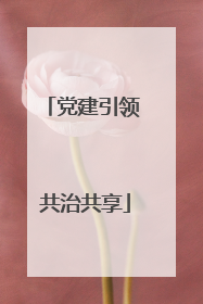党建引领 共治共享