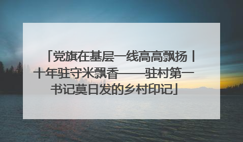 党旗在基层一线高高飘扬丨十年驻守米飘香——驻村第一书记莫日发的乡村印记
