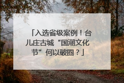 入选省级案例！台儿庄古城“国潮文化节”何以破圈？