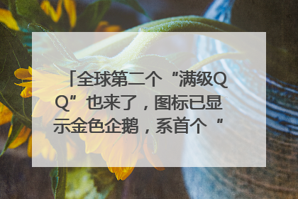 全球第二个“满级QQ”也来了，图标已显示金色企鹅，系首个“满级QQ”的小号