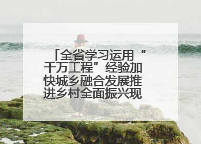 全省学习运用“千万工程”经验加快城乡融合发展推进乡村全面振兴现场会在上杭举行