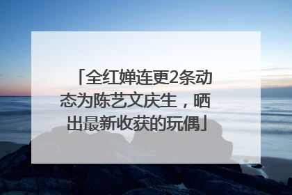 全红婵连更2条动态为陈艺文庆生，晒出最新收获的玩偶