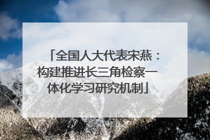 全国人大代表宋燕：构建推进长三角检察一体化学习研究机制