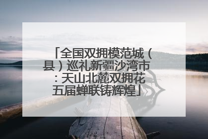 全国双拥模范城（县）巡礼新疆沙湾市：天山北麓双拥花 五届蝉联铸辉煌