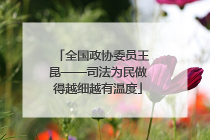 全国政协委员王昆——司法为民做得越细越有温度