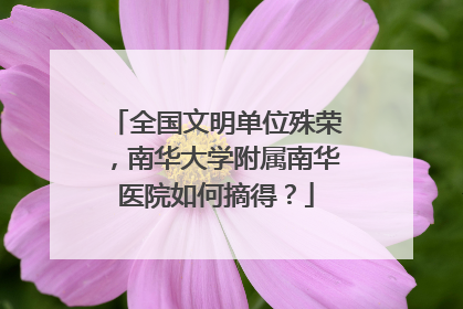 全国文明单位殊荣，南华大学附属南华医院如何摘得？