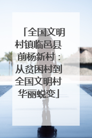 全国文明村镇临邑县前杨新村：从贫困村到全国文明村华丽蜕变