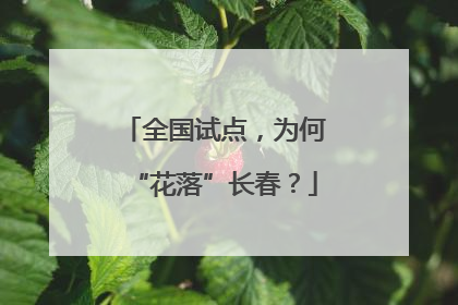 全国试点，为何“花落”长春？