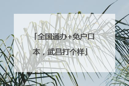 全国通办+免户口本，武昌打个样
