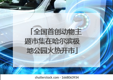 全国首创动物主题市集在哈尔滨极地公园火热开市