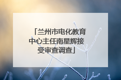 兰州市电化教育中心主任南星辉接受审查调查