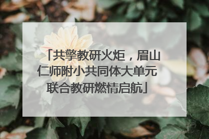 共擎教研火炬，眉山仁师附小共同体大单元联合教研燃情启航