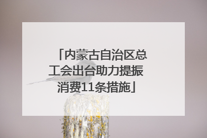 内蒙古自治区总工会出台助力提振消费11条措施
