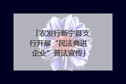农发行新宁县支行开展“民法典进企业”普法宣传