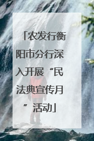 农发行衡阳市分行深入开展“民法典宣传月”活动